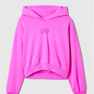 Gap Hoodie